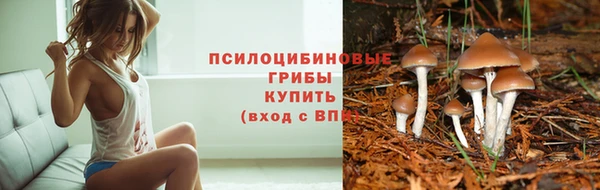 гидропоника Осташков