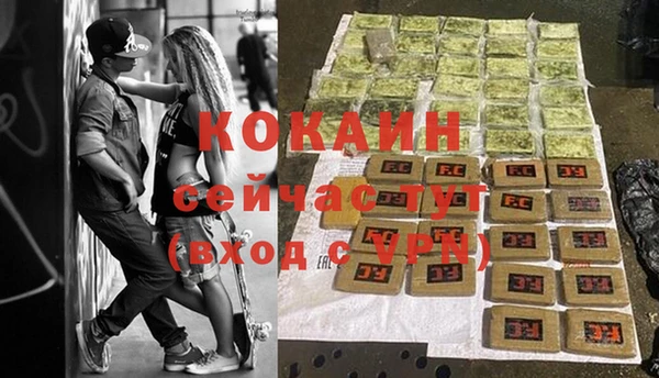 прущие грибы Остров
