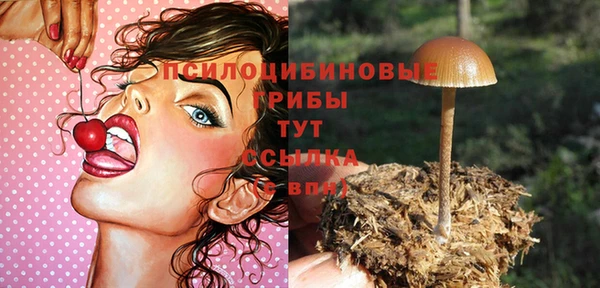 прущие грибы Остров
