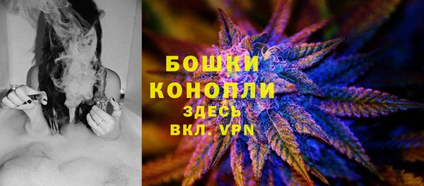 прущие грибы Остров