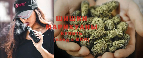 прущие грибы Остров
